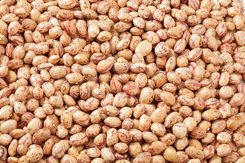 Pinto beans