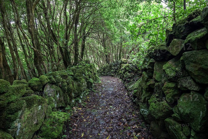 Hiking trail