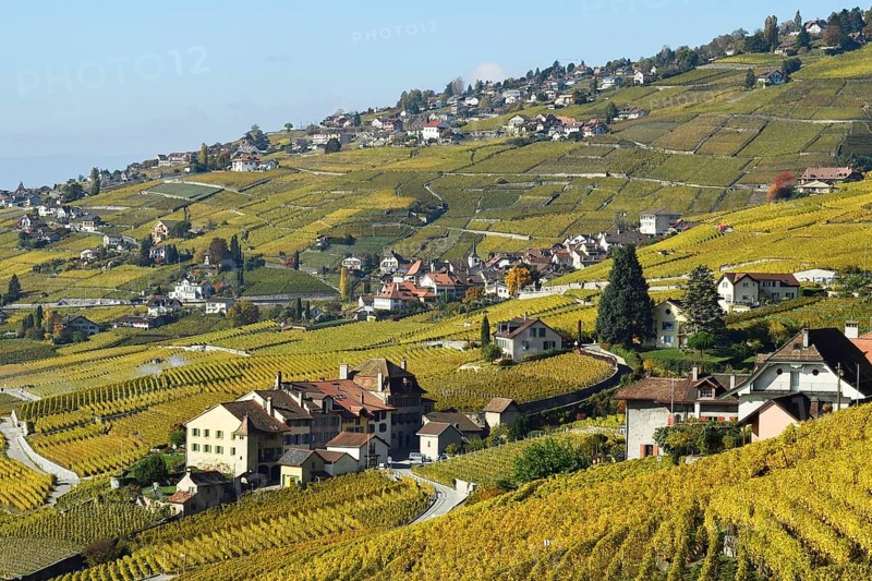 Vineyards in autumn with view of winemaking villages Epesses and Riex