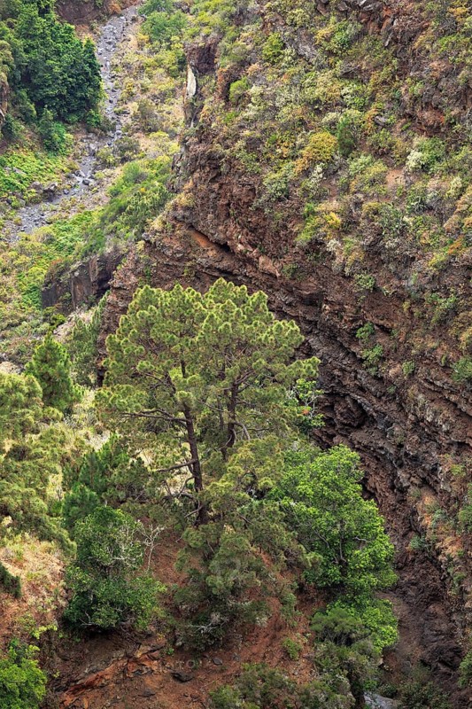 Barranco De Garome