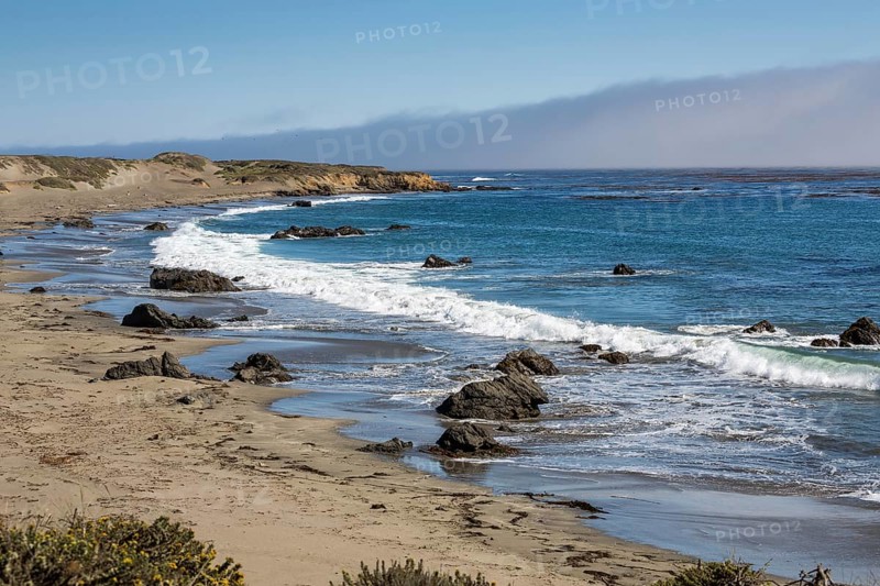 Coastal Landscape
