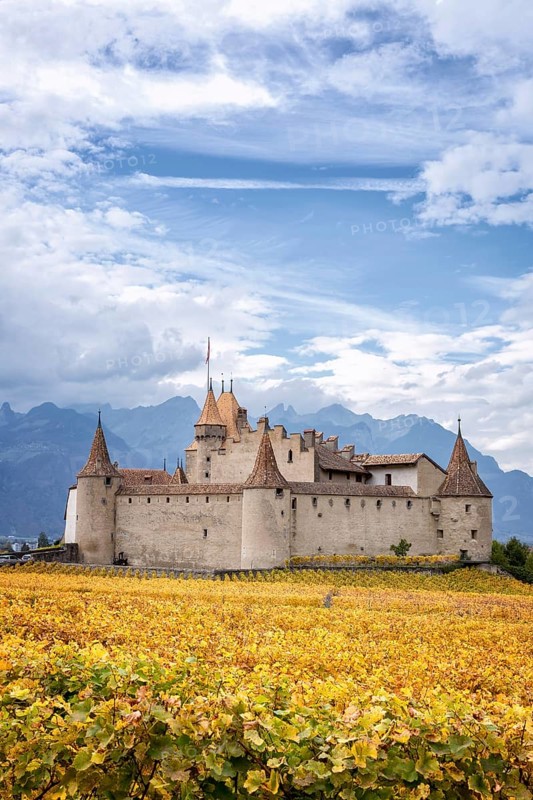 Aigle Castle surrounded by vineyards
