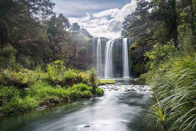 Whangarei Waterfall