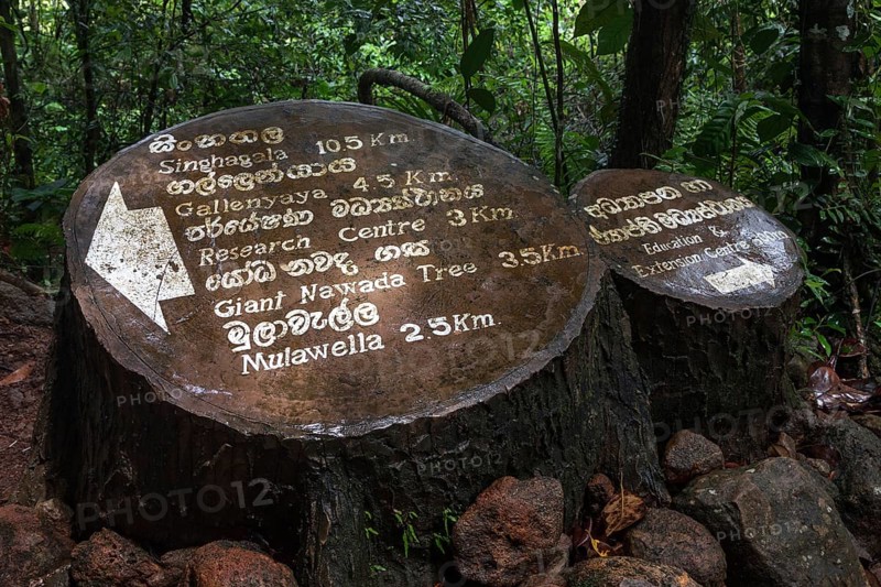 Signpost