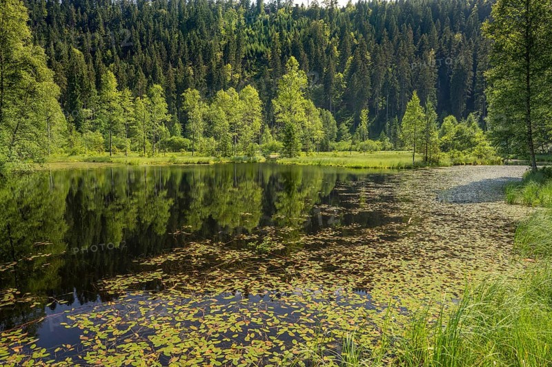 Ellbachsee