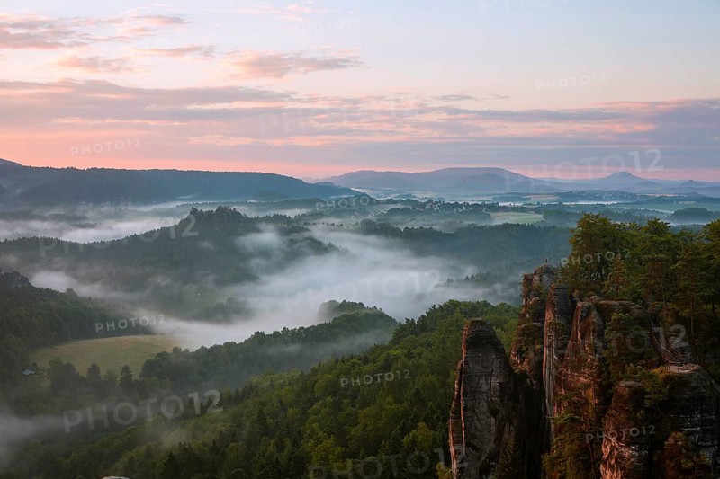 Morning fog in the Wehlgrund valley