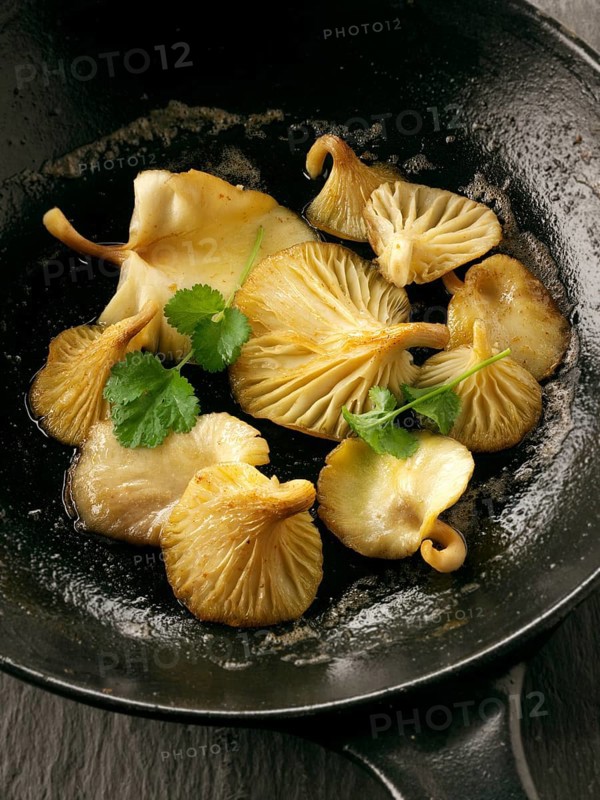 Yellow Oyster mushrooms sauteed in butter in a frying pan