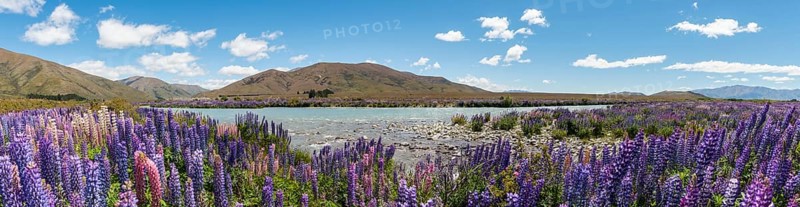 Riverbed of Ahuriri River