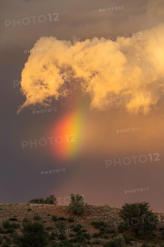 Evening thunderstorm with Cumulonimbus cloud and rainbow above a sand dune