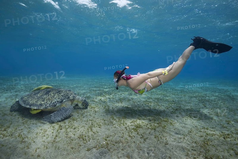 Woman with mask and fins snorkling with Green Sea Turtle