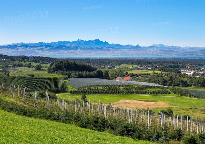 Orchards and hop gardens