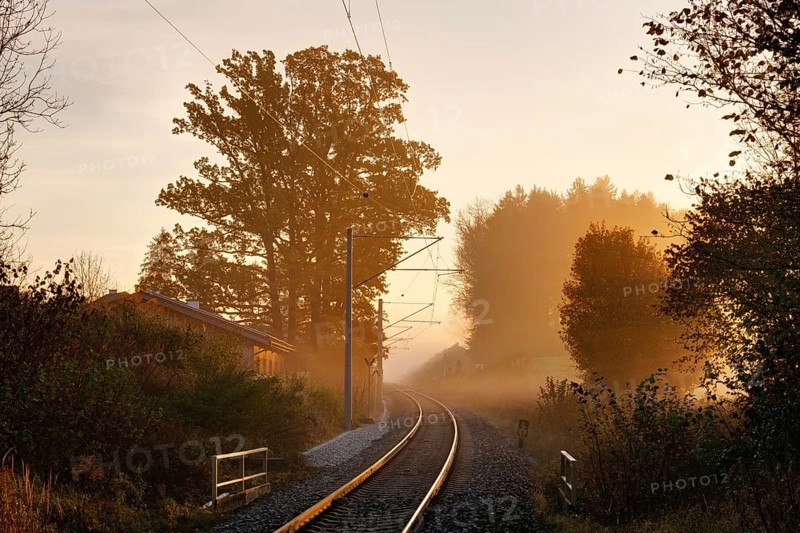 Railway tracks in the fog