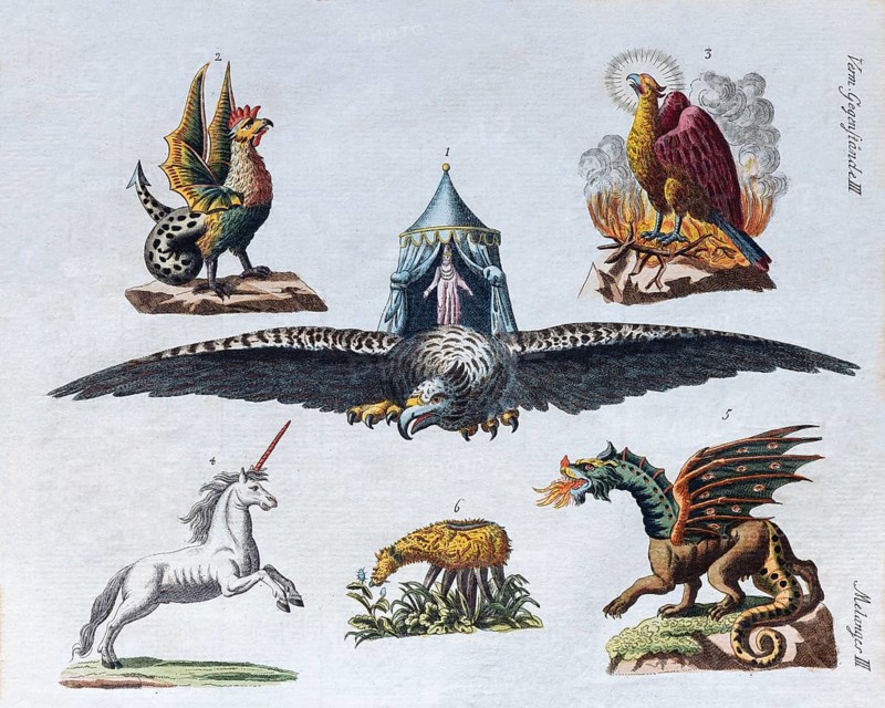 Magical creatures