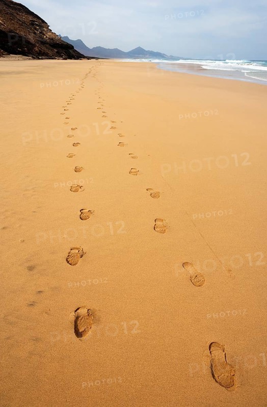 Footprints in the sand
