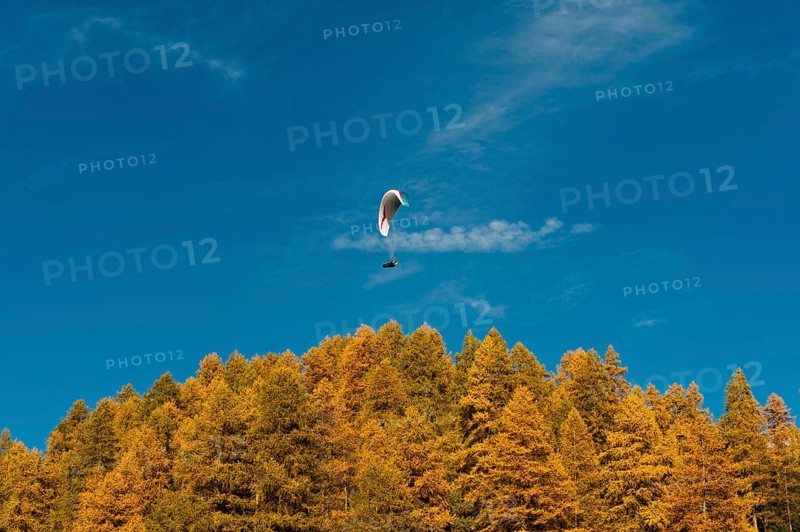 Paraglider flying over autumn woods