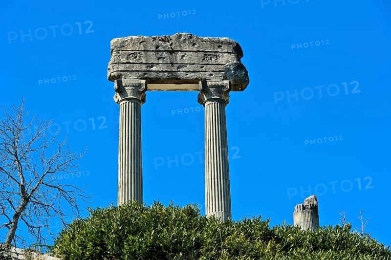 Corinthian columns from Noviodunum Helvetiorum