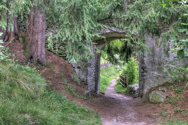 Overgrown castle gate