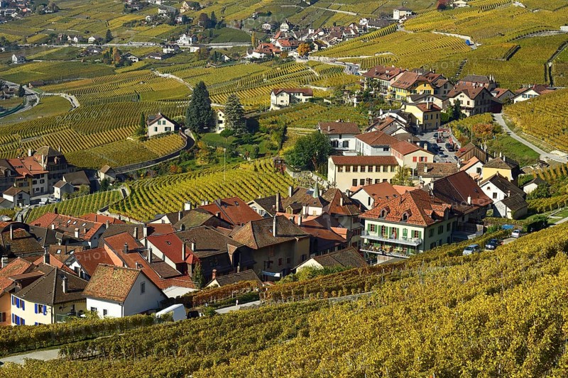 Vineyards in autumn with view of winemaking villages Epesses and Riex