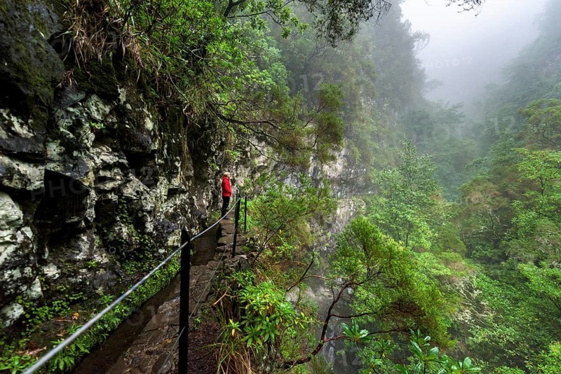 Hikers on narrow footpath along a Levada watercourse