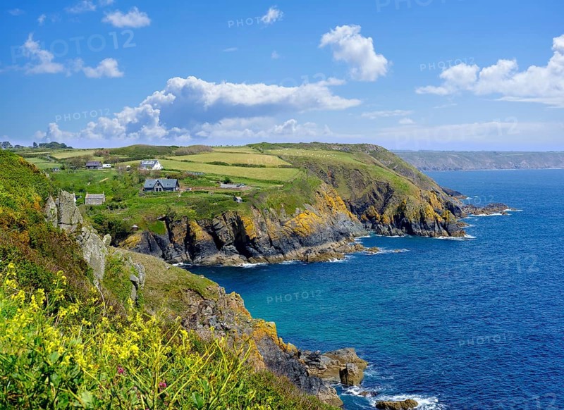 Cadgwith
