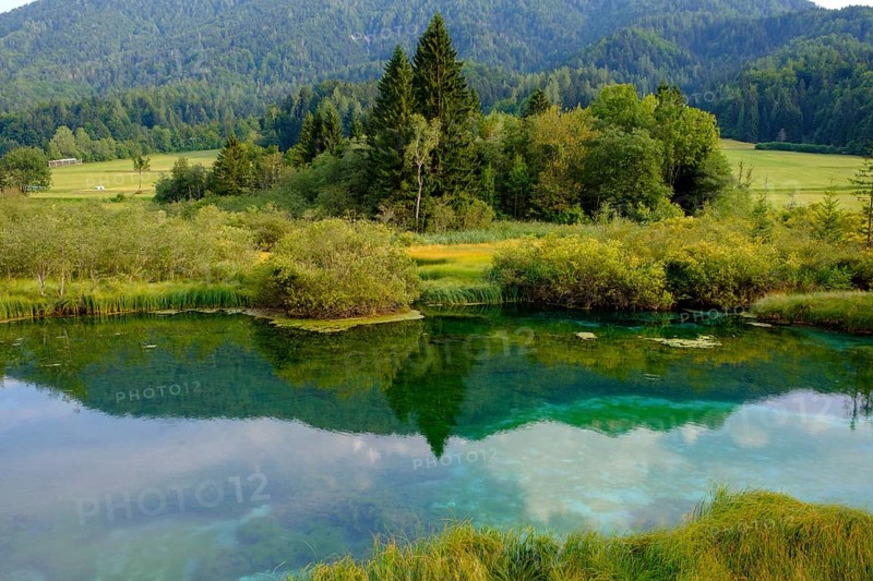 Sava Dolinka spring