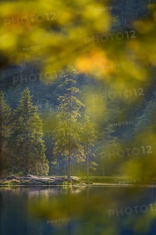 Grosser Arbersee