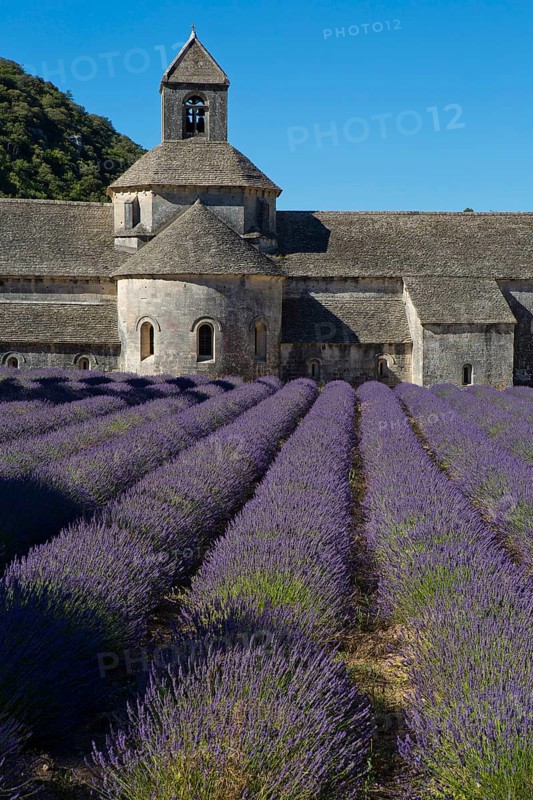 Romanesque Cistercian Abbey Notre Dame of Senanque