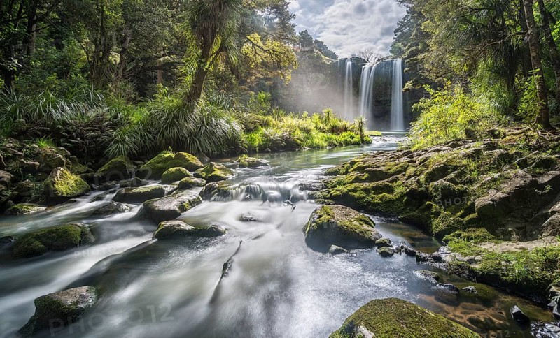 Whangarei Waterfall