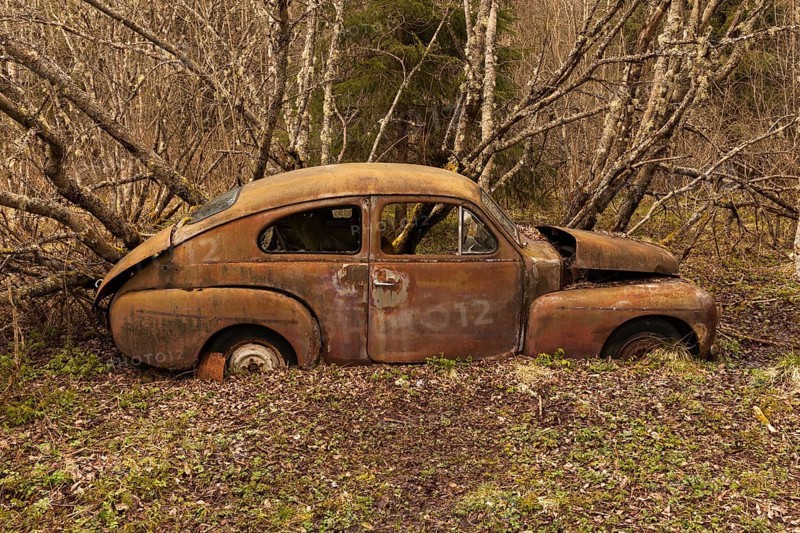 Rusty vintage car in the woods