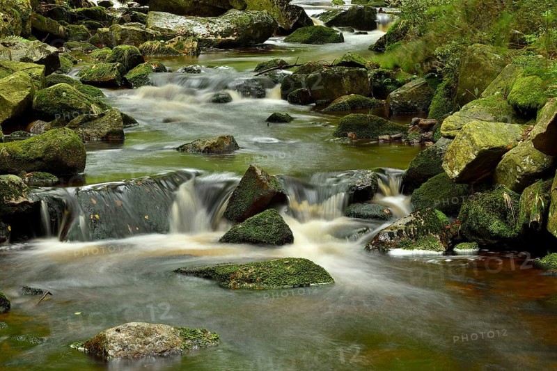 Gebirgsfluss Kalte Bode