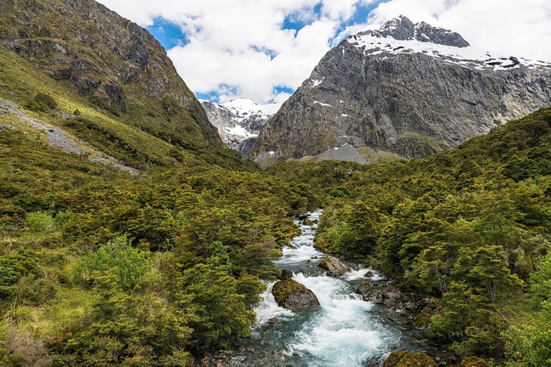 Hollyford River flowing through Fiordland National Park