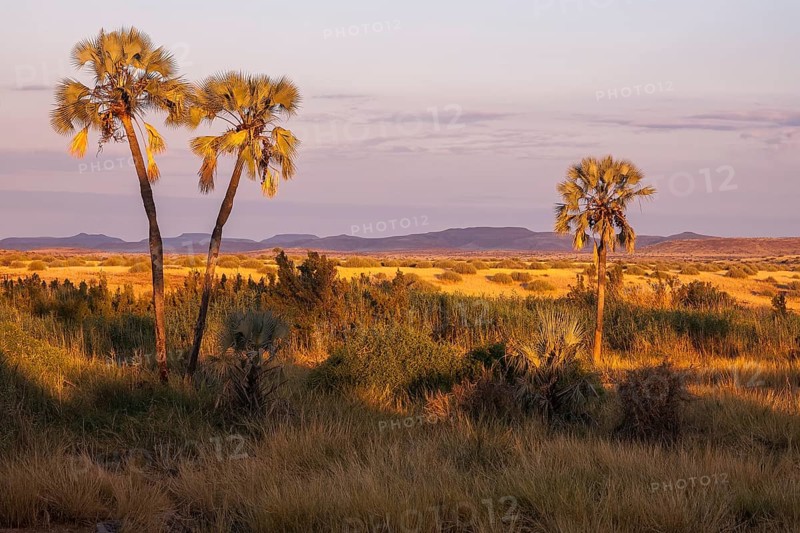 Damaraland