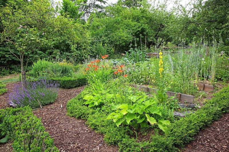 View of a farm garden with paths from barkweed