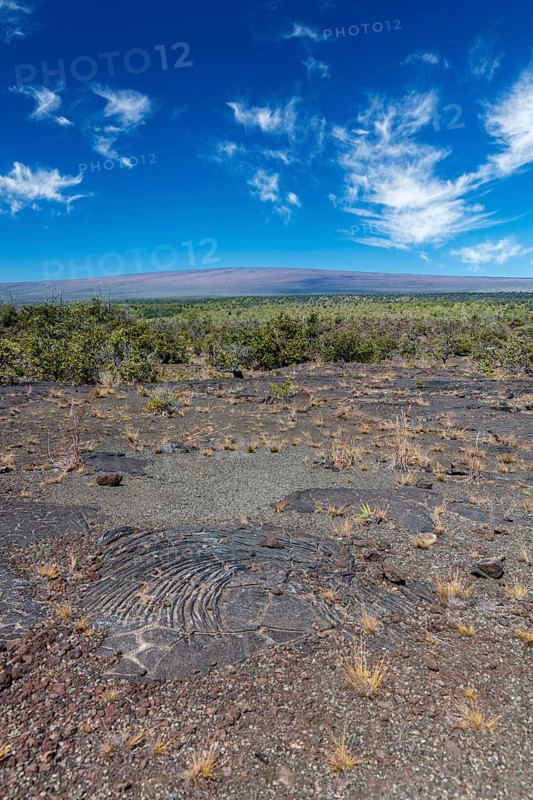 Pahoehoe lava from Kilauea volcano eruptions