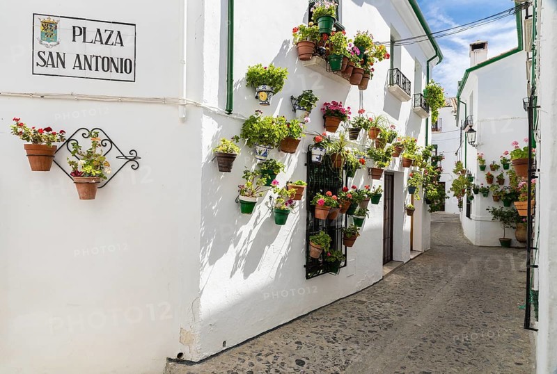 Flower-decorated alleyway