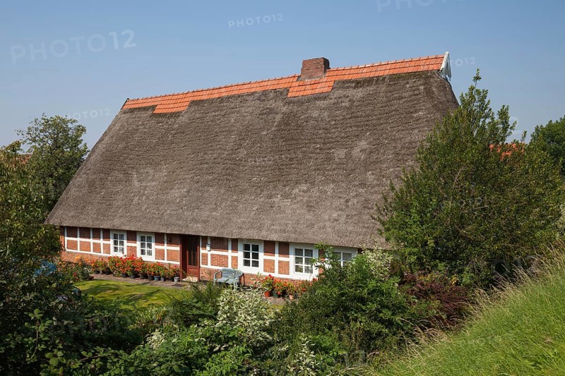 Thatched cottage