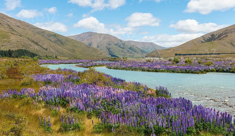 Riverbed of Ahuriri River