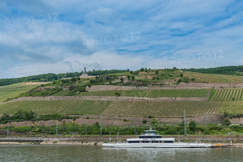 Vineyards with Niederwald Monument