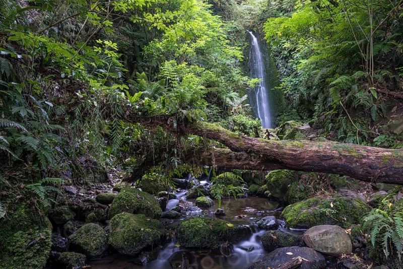 Waterfall