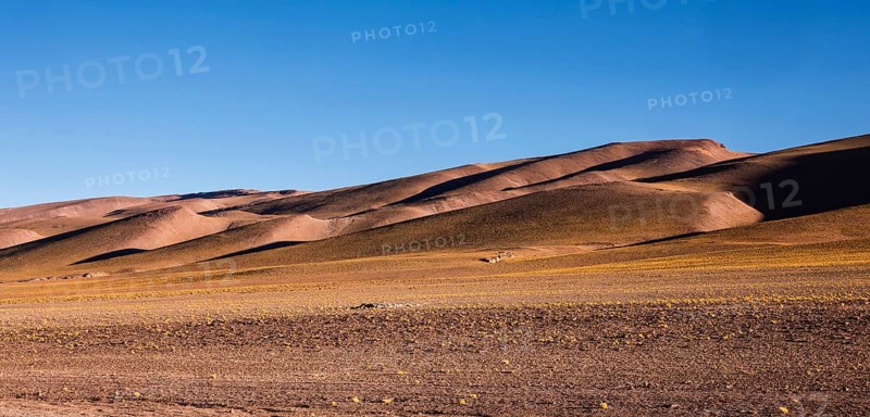 Andean Plain