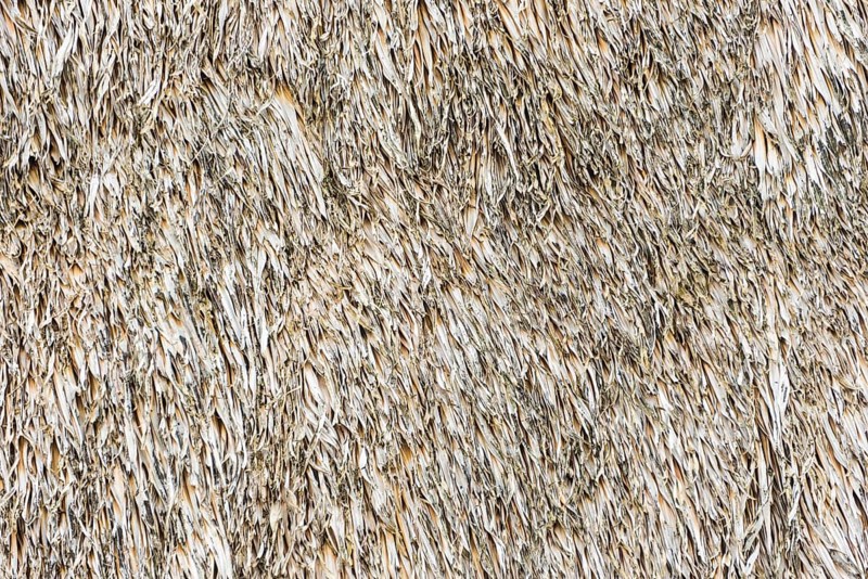 Weathered thatched roof