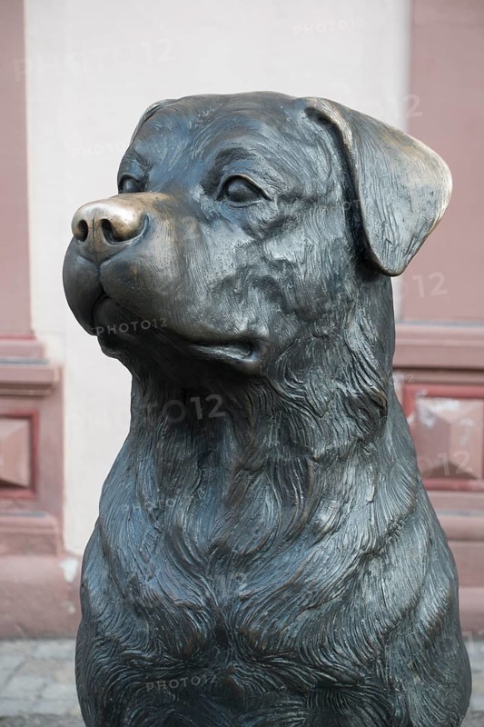Der Rottweiler