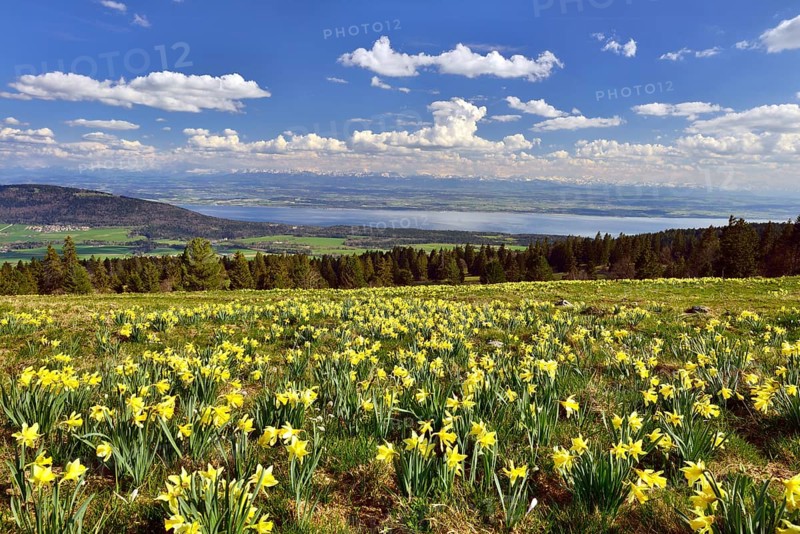 View from Swiss Jura