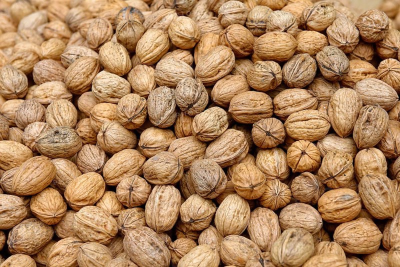 Persian walnuts