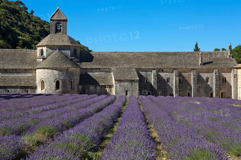 Romanesque Cistercian Abbey Notre Dame of Senanque