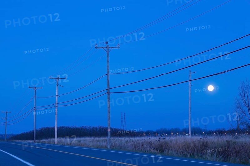 Highway bordered by hydro electricity distribution poles