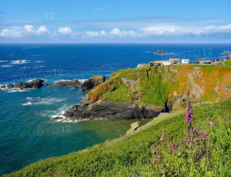 Lizard Point