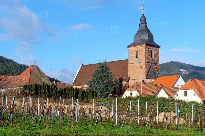 View of Burrweiler