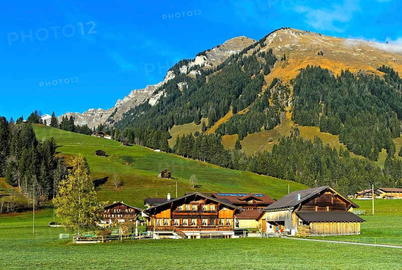 Farmhouses in Saanenland
