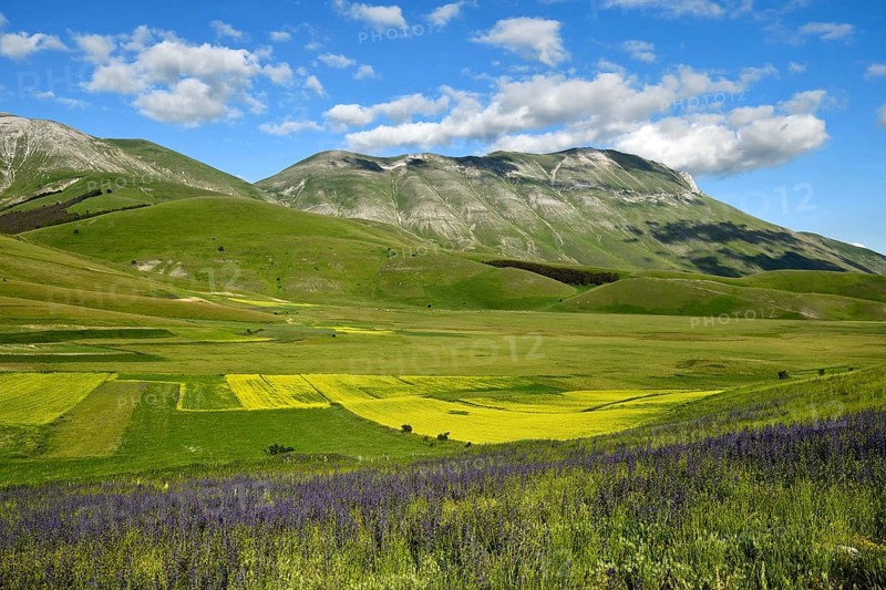 Monte Vettore